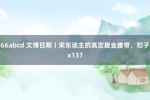 66abcd 文博日期丨宋东谈主的高定版金腰带，扣子x13？