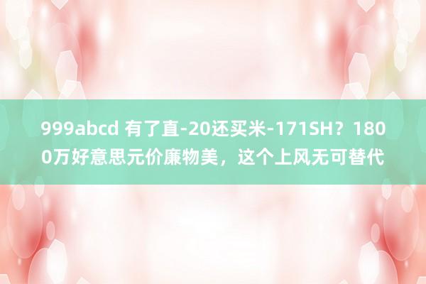 999abcd 有了直-20还买米-171SH？1800万好意思元价廉物美，这个上风无可替代