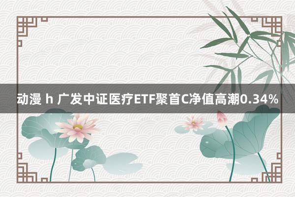 动漫 h 广发中证医疗ETF聚首C净值高潮0.34%