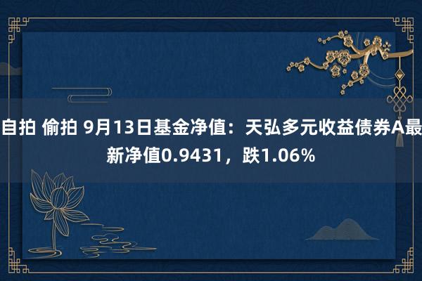 自拍 偷拍 9月13日基金净值：天弘多元收益债券A最新净值0.9431，跌1.06%