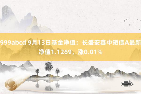 999abcd 9月13日基金净值：长盛安鑫中短债A最新净值1.1269，涨0.01%