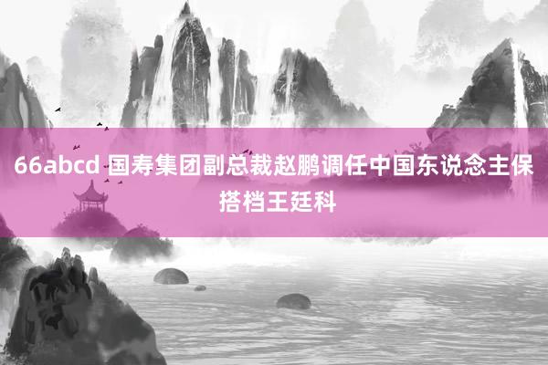 66abcd 国寿集团副总裁赵鹏调任中国东说念主保 搭档王廷科