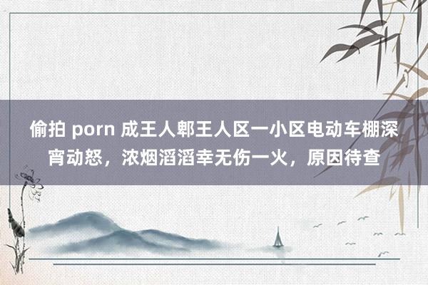 偷拍 porn 成王人郫王人区一小区电动车棚深宵动怒，浓烟滔滔幸无伤一火，原因待查