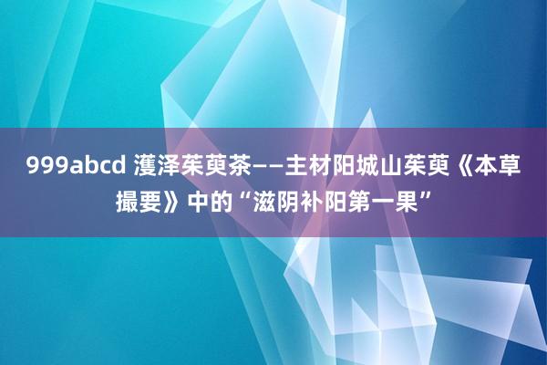 999abcd 濩泽茱萸茶——主材阳城山茱萸《本草撮要》中的“滋阴补阳第一果”