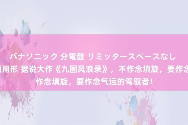 パナソニック 分電盤 リミッタースペースなし 露出・半埋込両用形 据说大作《九囿风浪录》，不作念填旋，要作念气运的驾驭者！