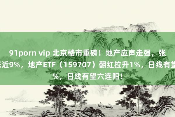 91porn vip 北京楼市重磅！地产应声走强，张江高科涨近9%，地产ETF（159707）翻红拉升1%，日线有望六连阳！