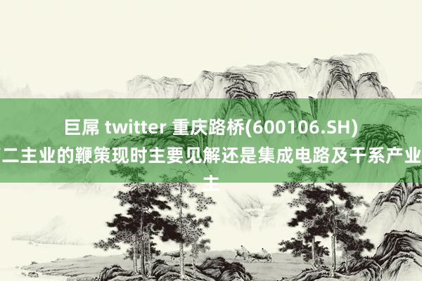 巨屌 twitter 重庆路桥(600106.SH)：第二主业的鞭策现时主要见解还是集成电路及干系产业为主