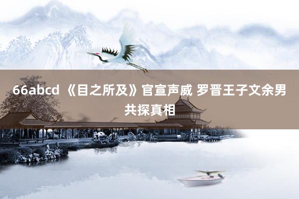 66abcd 《目之所及》官宣声威 罗晋王子文余男共探真相