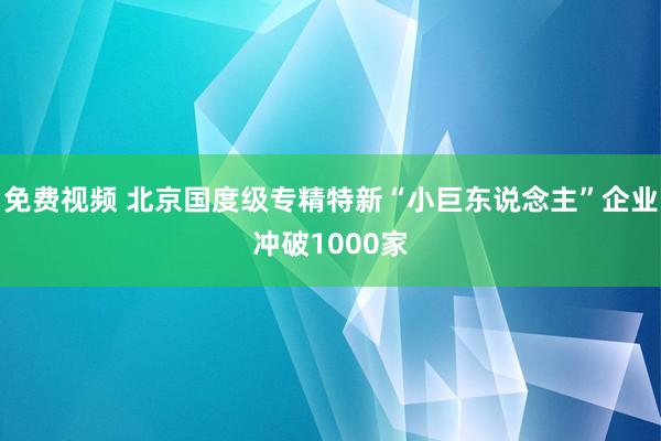 免费视频 北京国度级专精特新“小巨东说念主”企业冲破1000家