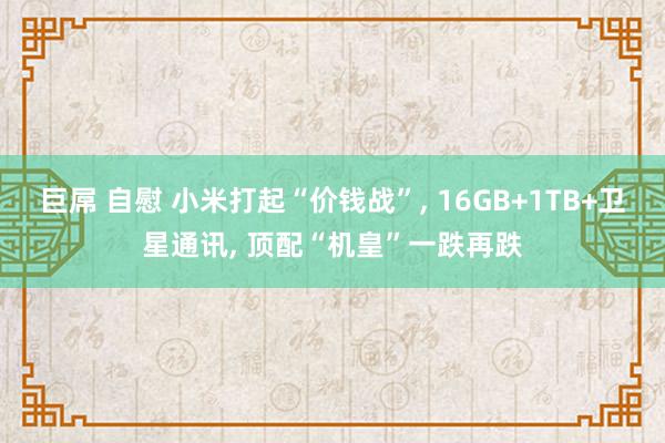 巨屌 自慰 小米打起“价钱战”， 16GB+1TB+卫星通讯， 顶配“机皇”一跌再跌