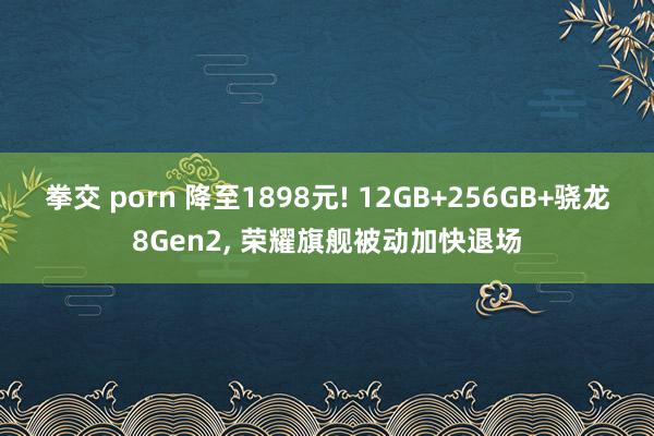 拳交 porn 降至1898元! 12GB+256GB+骁龙8Gen2， 荣耀旗舰被动加快退场