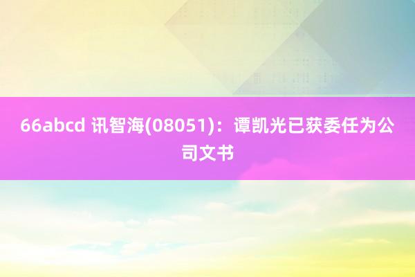 66abcd 讯智海(08051)：谭凯光已获委任为公司文书