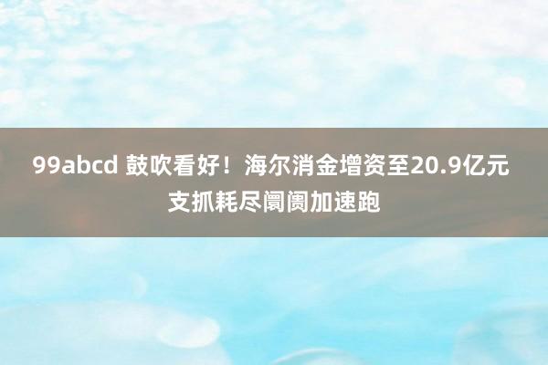 99abcd 鼓吹看好！海尔消金增资至20.9亿元 支抓耗尽阛阓加速跑