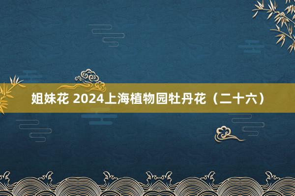 姐妹花 2024上海植物园牡丹花（二十六）