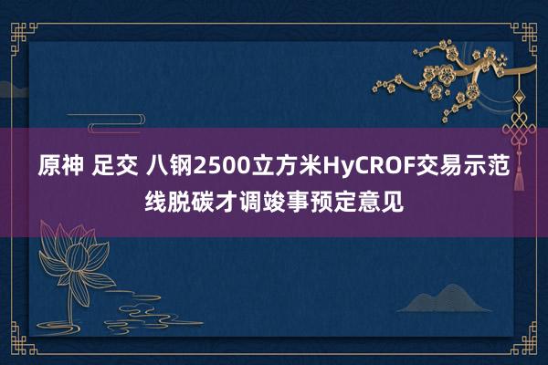 原神 足交 八钢2500立方米HyCROF交易示范线脱碳才调竣事预定意见