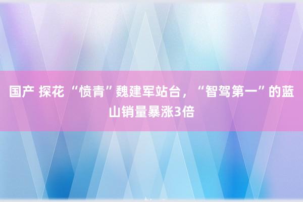 国产 探花 “愤青”魏建军站台，“智驾第一”的蓝山销量暴涨3倍