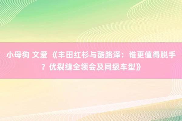 小母狗 文爱 《丰田红杉与酷路泽：谁更值得脱手？优裂缝全领会及同级车型》