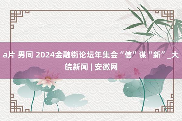 a片 男同 2024金融街论坛年集会“信”谋“新”_大皖新闻 | 安徽网