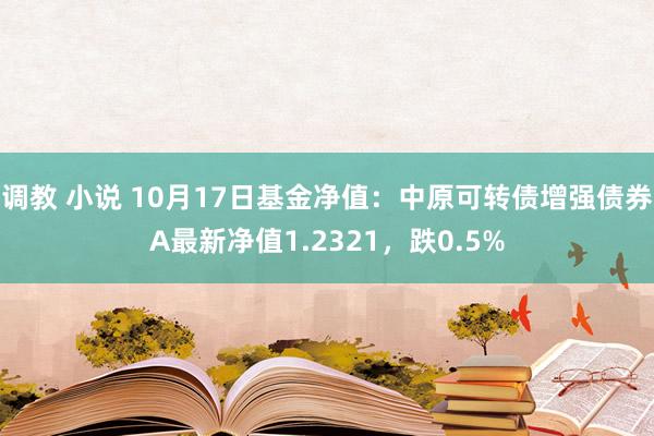 调教 小说 10月17日基金净值：中原可转债增强债券A最新净值1.2321，跌0.5%