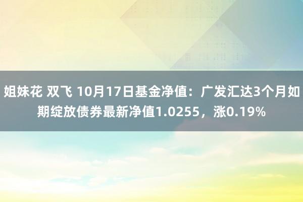 姐妹花 双飞 10月17日基金净值：广发汇达3个月如期绽放债券最新净值1.0255，涨0.19%