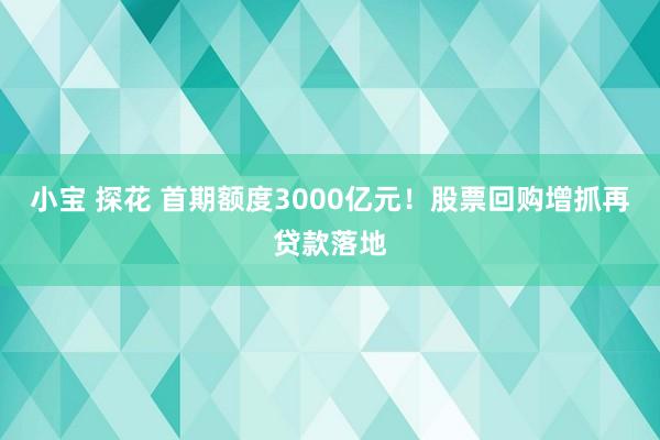 小宝 探花 首期额度3000亿元！股票回购增抓再贷款落地