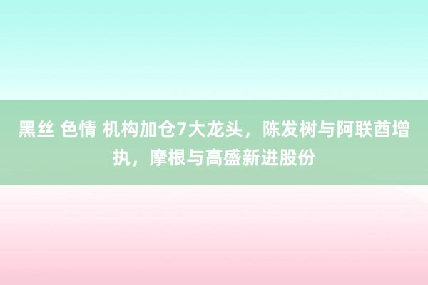 黑丝 色情 机构加仓7大龙头，陈发树与阿联酋增执，摩根与高盛新进股份