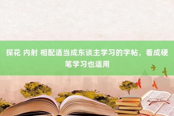 探花 内射 相配适当成东谈主学习的字帖，看成硬笔学习也适用