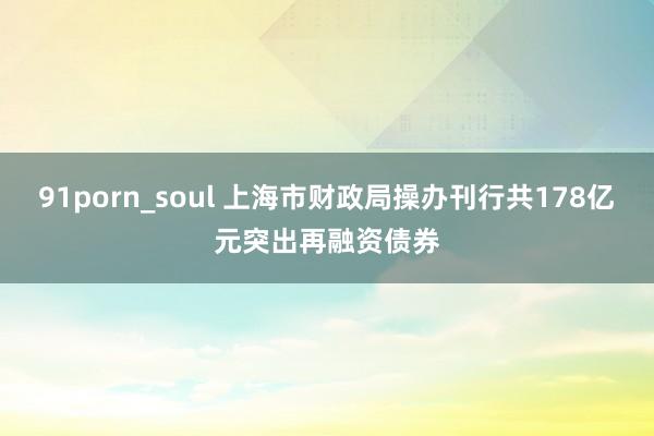 91porn_soul 上海市财政局操办刊行共178亿元突出再融资债券