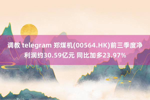 调教 telegram 郑煤机(00564.HK)前三季度净利润约30.59亿元 同比加多23.97%