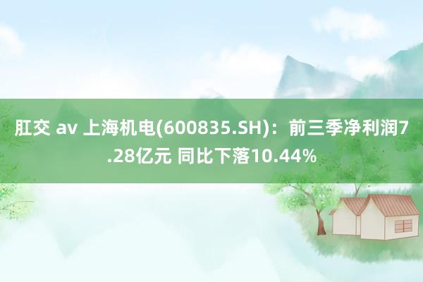 肛交 av 上海机电(600835.SH)：前三季净利润7.28亿元 同比下落10.44%