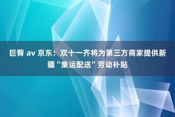 巨臀 av 京东：双十一齐将为第三方商家提供新疆“集运配送”劳动补贴