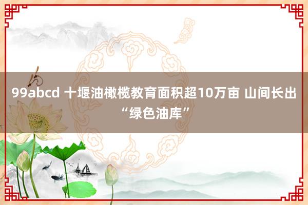 99abcd 十堰油橄榄教育面积超10万亩 山间长出“绿色油库”