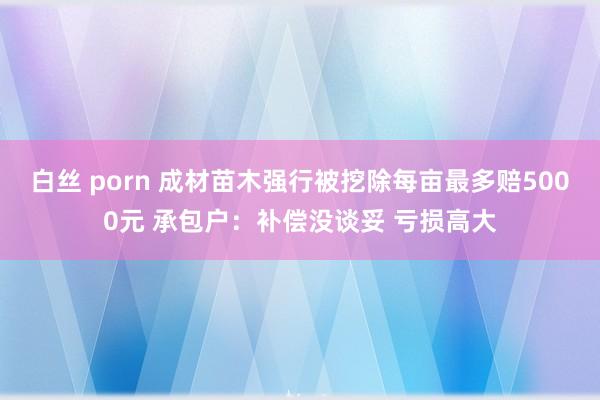 白丝 porn 成材苗木强行被挖除每亩最多赔5000元 承包户：补偿没谈妥 亏损高大