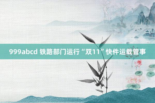 999abcd 铁路部门运行“双11”快件运载管事