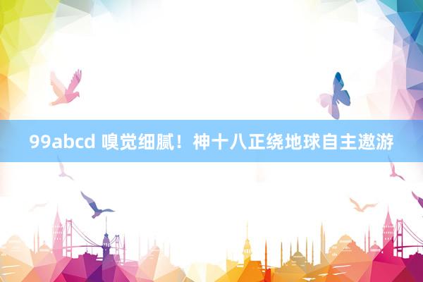 99abcd 嗅觉细腻！神十八正绕地球自主遨游