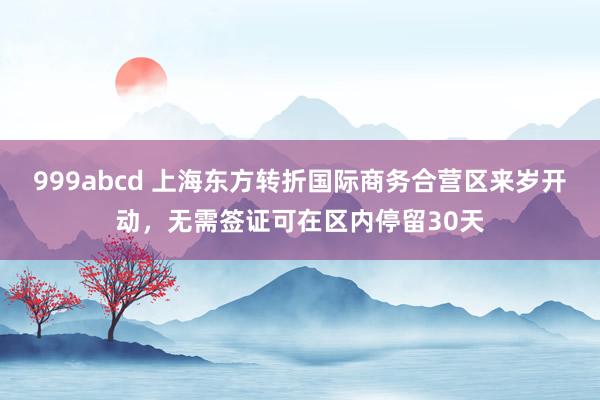 999abcd 上海东方转折国际商务合营区来岁开动，无需签证可在区内停留30天