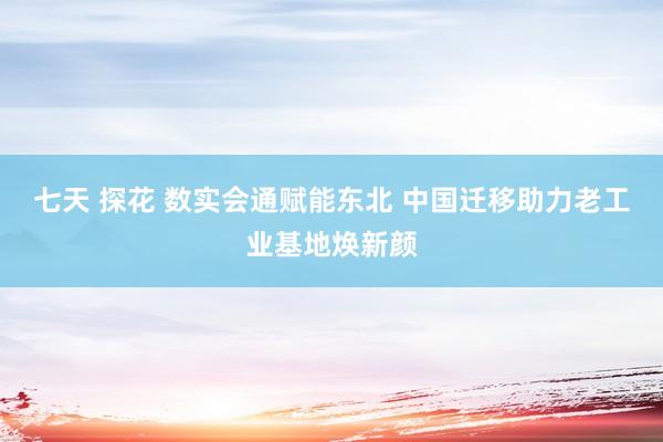 七天 探花 数实会通赋能东北 中国迁移助力老工业基地焕新颜