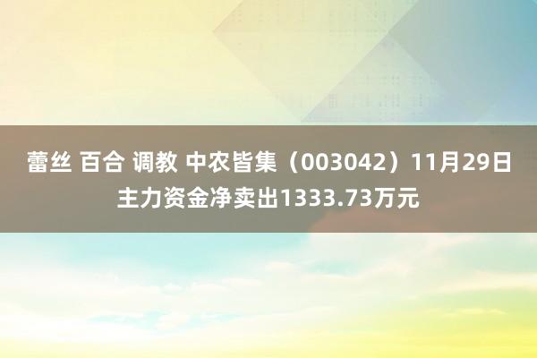 蕾丝 百合 调教 中农皆集（003042）11月29日主力资金净卖出1333.73万元