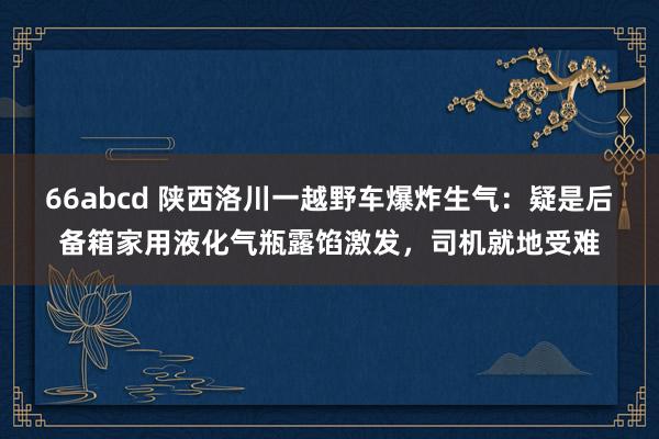 66abcd 陕西洛川一越野车爆炸生气：疑是后备箱家用液化气瓶露馅激发，司机就地受难