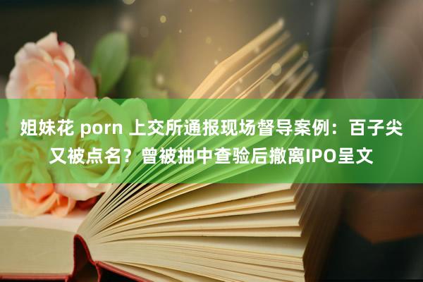 姐妹花 porn 上交所通报现场督导案例：百子尖又被点名？曾被抽中查验后撤离IPO呈文