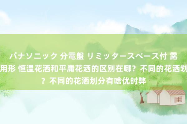 パナソニック 分電盤 リミッタースペース付 露出・半埋込両用形 恒温花洒和平庸花洒的区别在哪？不同的花洒划分有啥优时弊