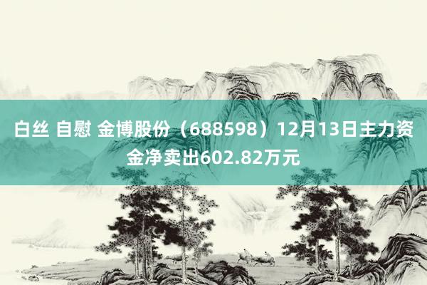 白丝 自慰 金博股份（688598）12月13日主力资金净卖出602.82万元