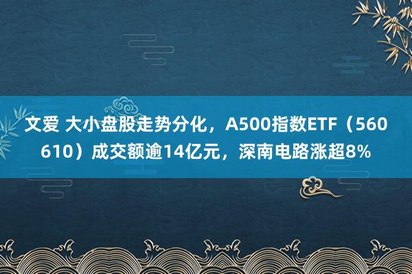 文爱 大小盘股走势分化，A500指数ETF（560610）成交额逾14亿元，深南电路涨超8%