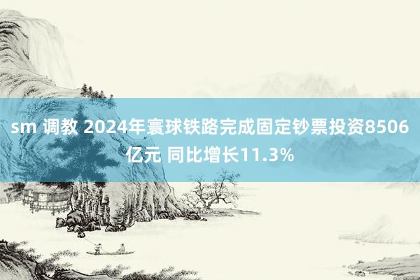 sm 调教 2024年寰球铁路完成固定钞票投资8506亿元 同比增长11.3%