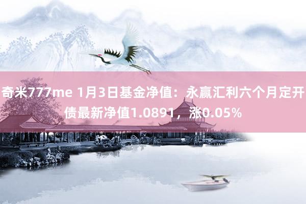 奇米777me 1月3日基金净值：永赢汇利六个月定开债最新净值1.0891，涨0.05%