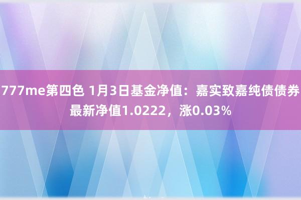 777me第四色 1月3日基金净值：嘉实致嘉纯债债券最新净值1.0222，涨0.03%