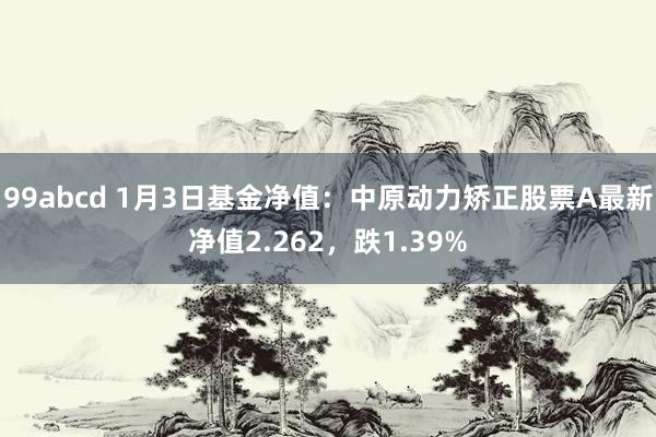 99abcd 1月3日基金净值：中原动力矫正股票A最新净值2.262，跌1.39%