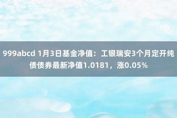 999abcd 1月3日基金净值：工银瑞安3个月定开纯债债券最新净值1.0181，涨0.05%