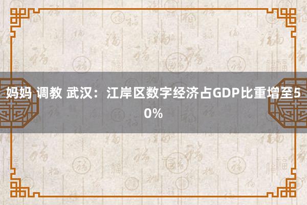 妈妈 调教 武汉：江岸区数字经济占GDP比重增至50%