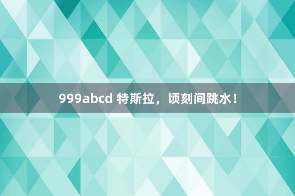 999abcd 特斯拉，顷刻间跳水！